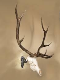 Name:  images (9).jpeg
Views: 210
Size:  4.5 KB