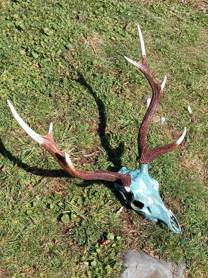 Name:  deer and antlers.jpg
Views: 804
Size:  223.2 KB