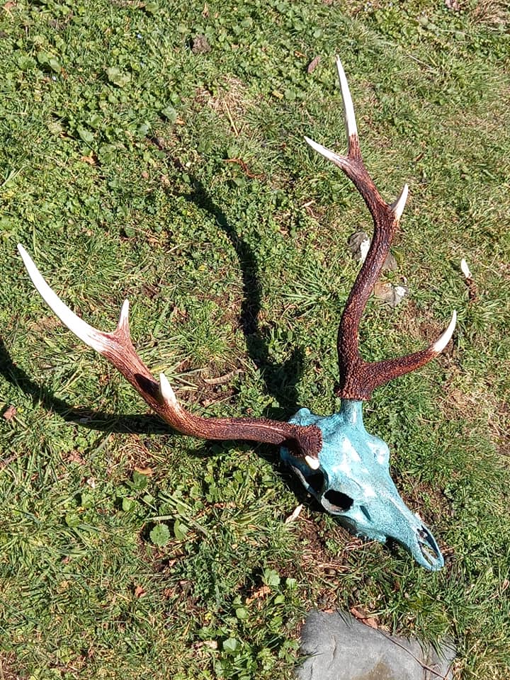 Name:  deer and antlers.jpg
Views: 472
Size:  223.2 KB