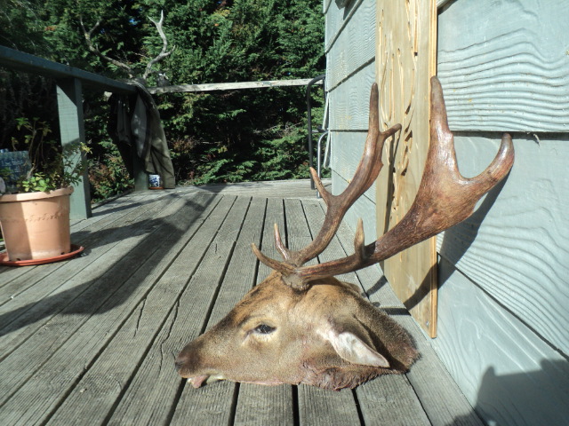 Name:  picture 01 3144.jpg
Views: 223
Size:  163.3 KB