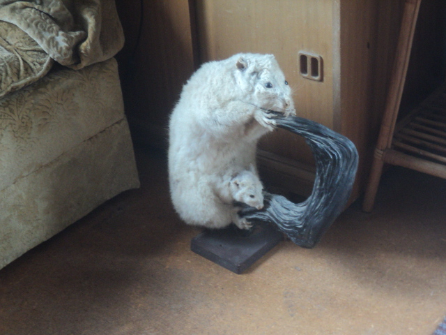 Name:  picture 01 4676.jpg
Views: 330
Size:  164.9 KB