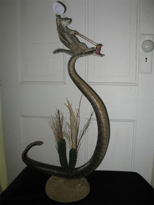 Name:  Squirrel Riding Rattlesnake.jpg
Views: 1177
Size:  77.2 KB