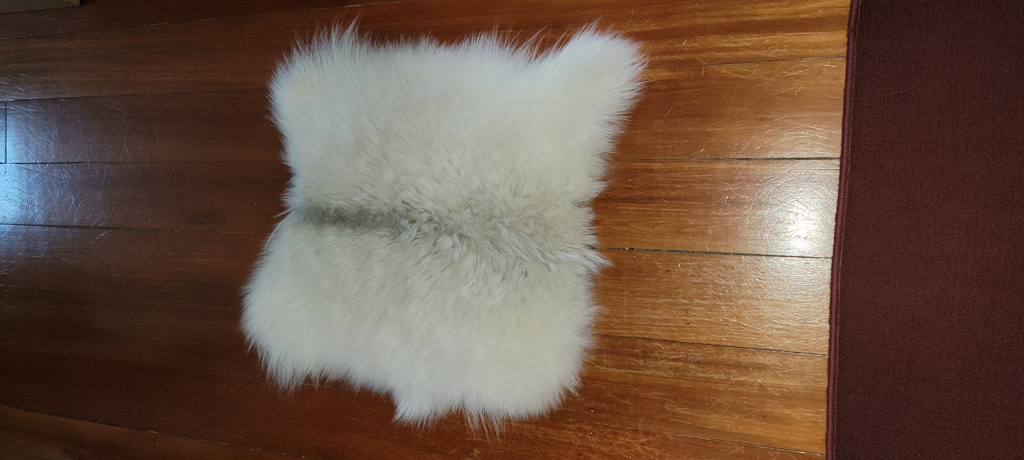 Name:  goat-1.jpg
Views: 411
Size:  2.13 MB