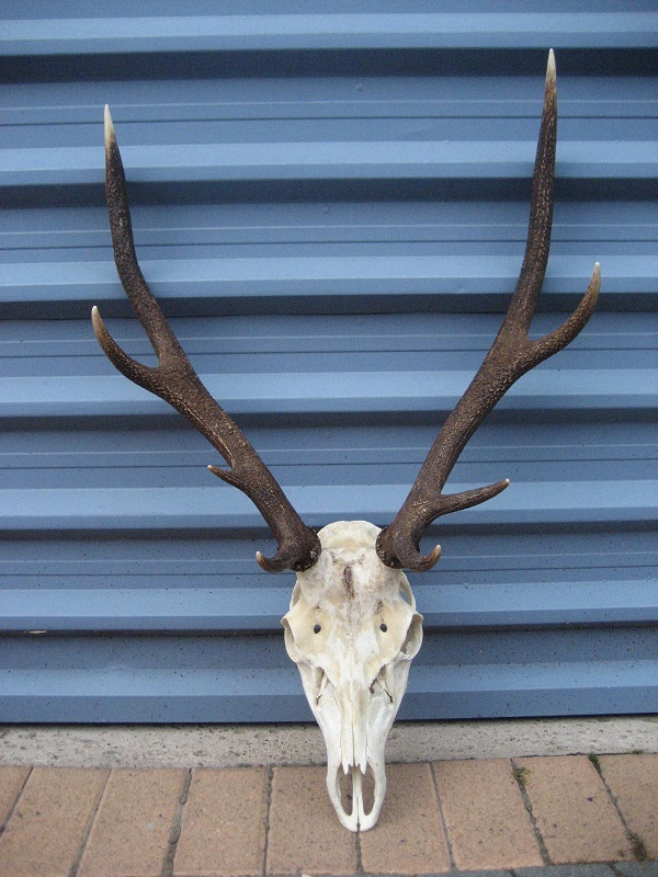 Name:  002.JPG
Views: 2796
Size:  207.8 KB