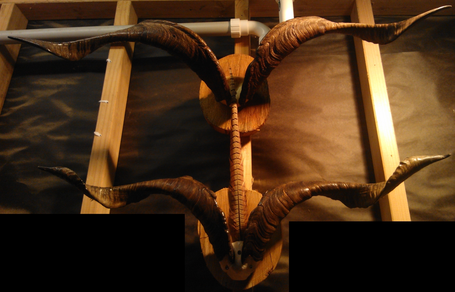 Name:  Goats.jpg
Views: 235
Size:  761.8 KB