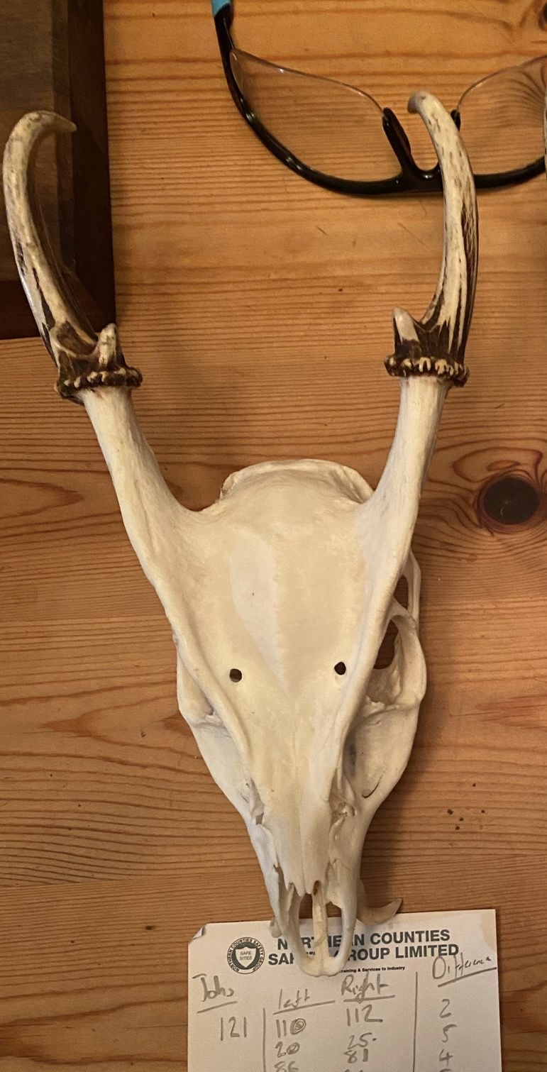 Name:  MJ skull.jpg
Views: 137
Size:  246.8 KB
