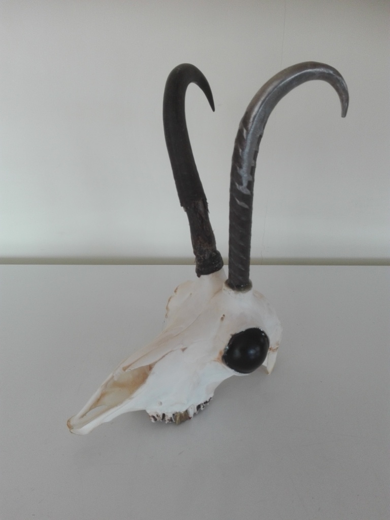 Name:  robo_chamois_1.jpg
Views: 166
Size:  133.5 KB