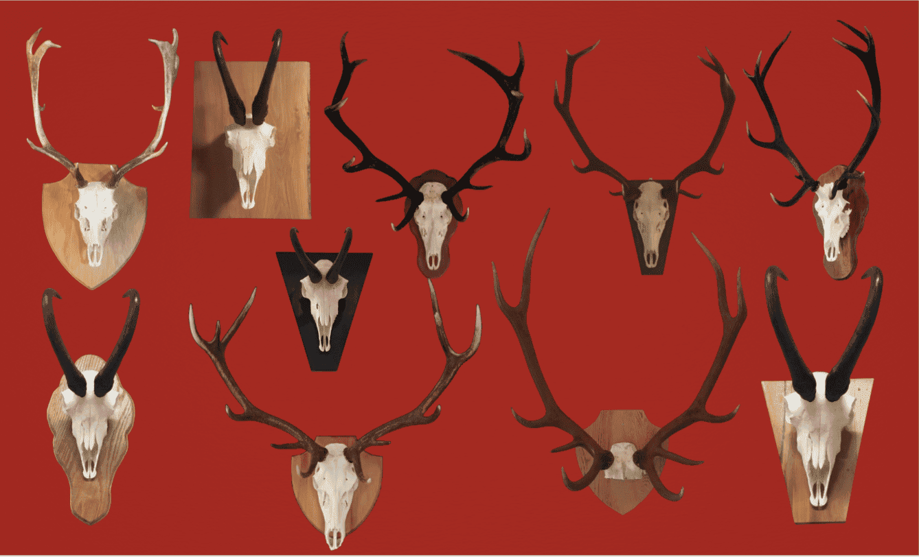 Name:  Screenshot 2025-06-07 at 11.56.44 AM-2.png
Views: 108
Size:  161.8 KB