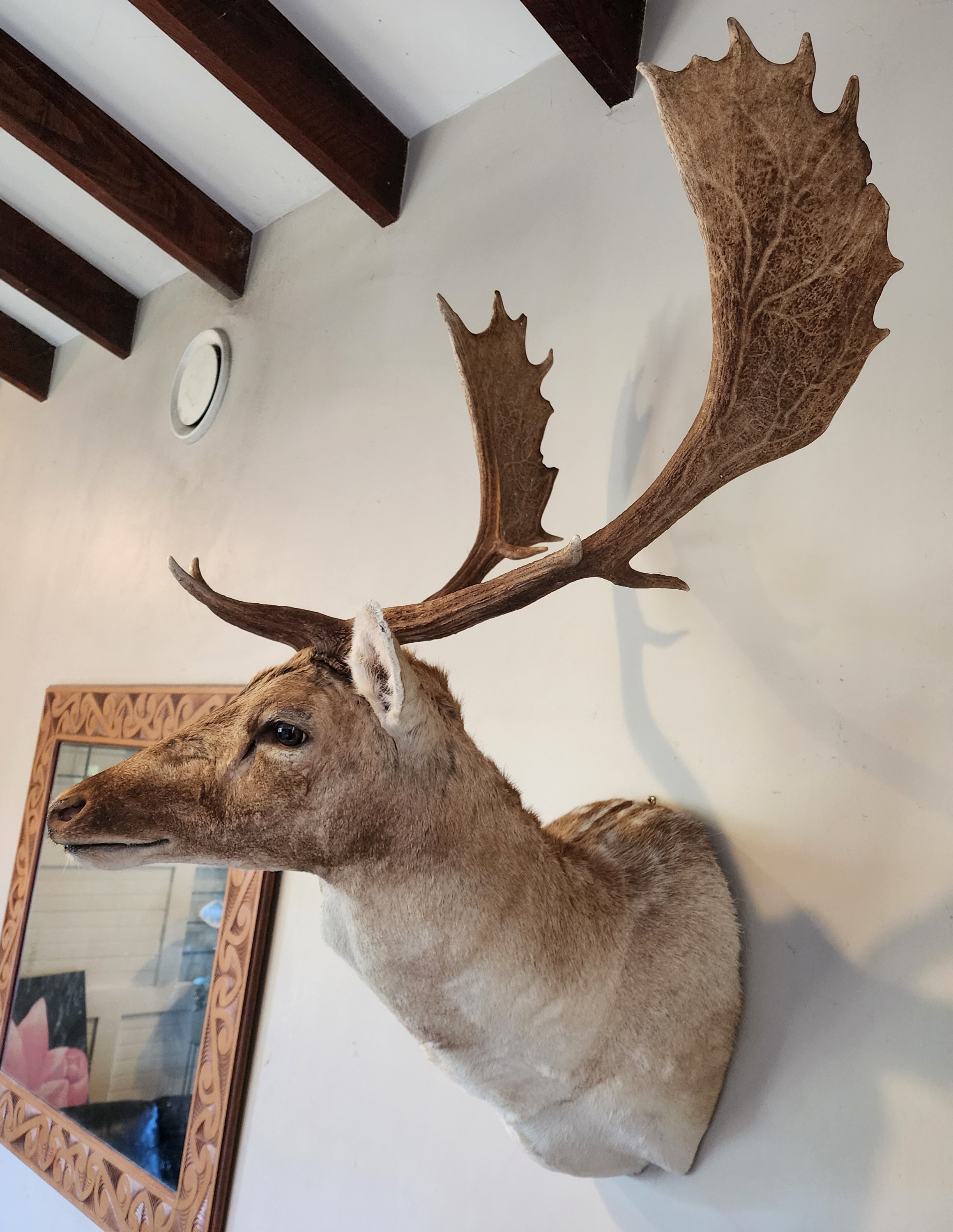 Name:  20251211_175206.jpg
Views: 300
Size:  1.53 MB