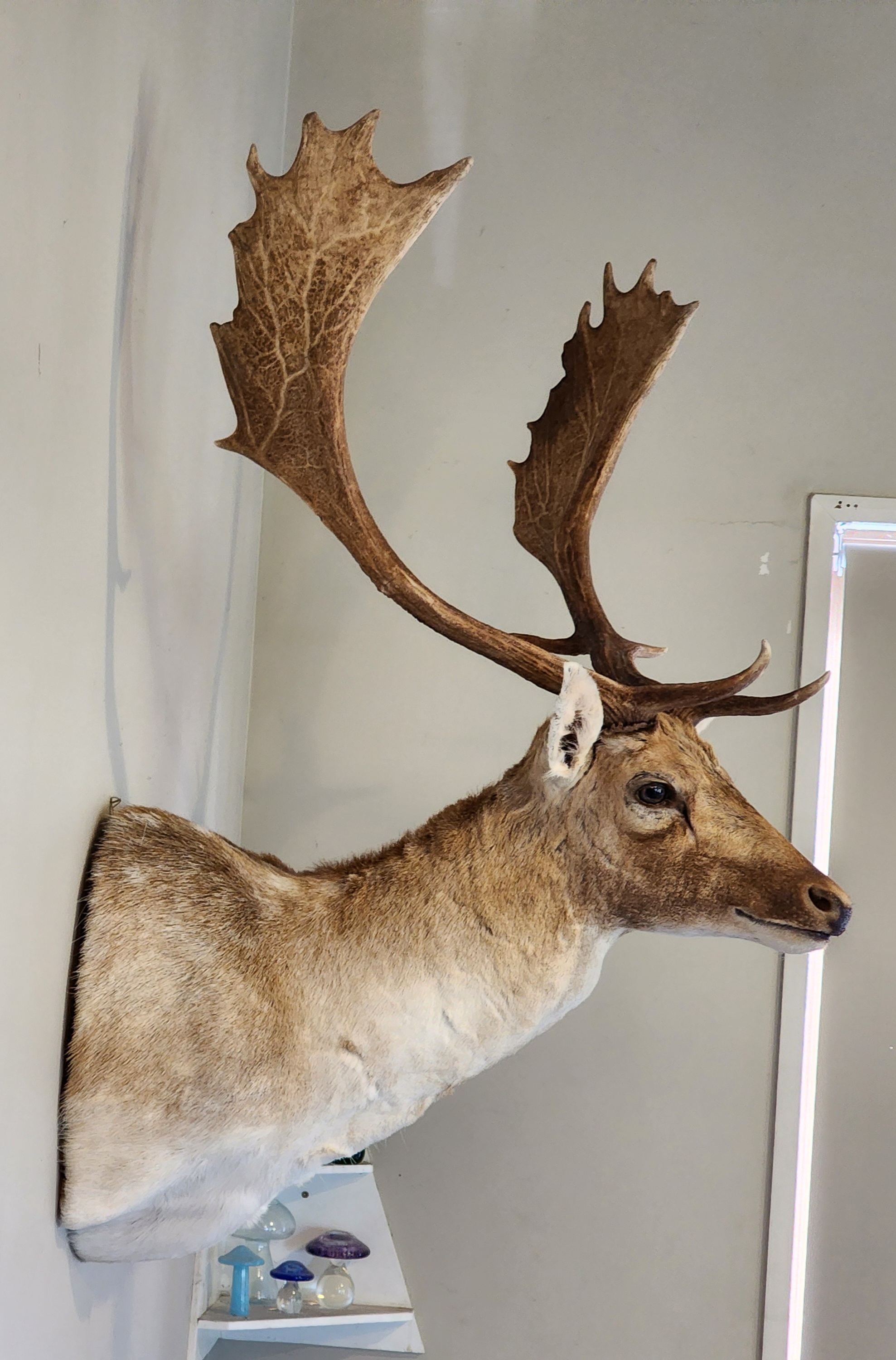 Name:  20251211_175004.jpg
Views: 300
Size:  1.17 MB