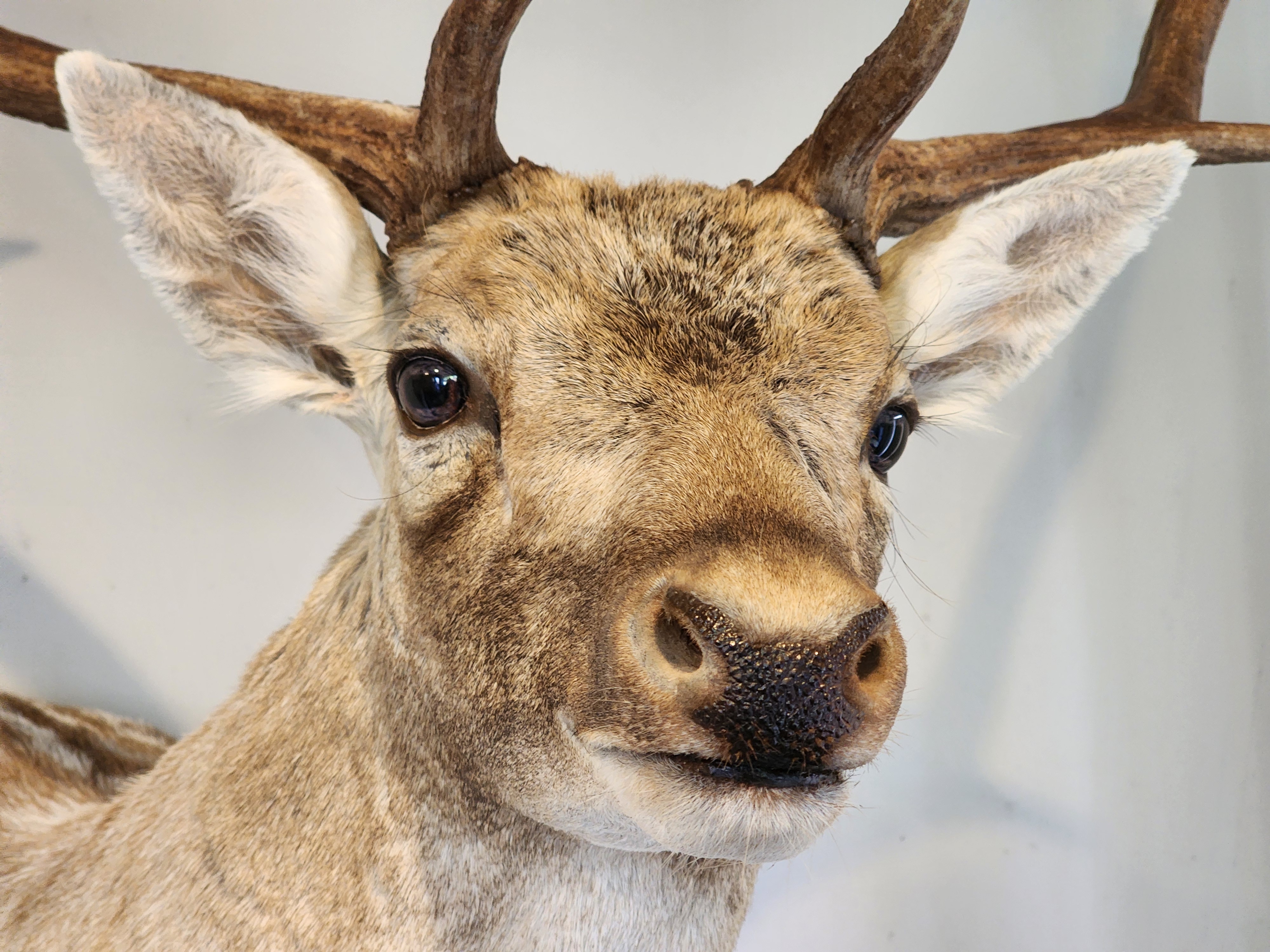 Name:  20251211_174652.jpg
Views: 303
Size:  2.61 MB