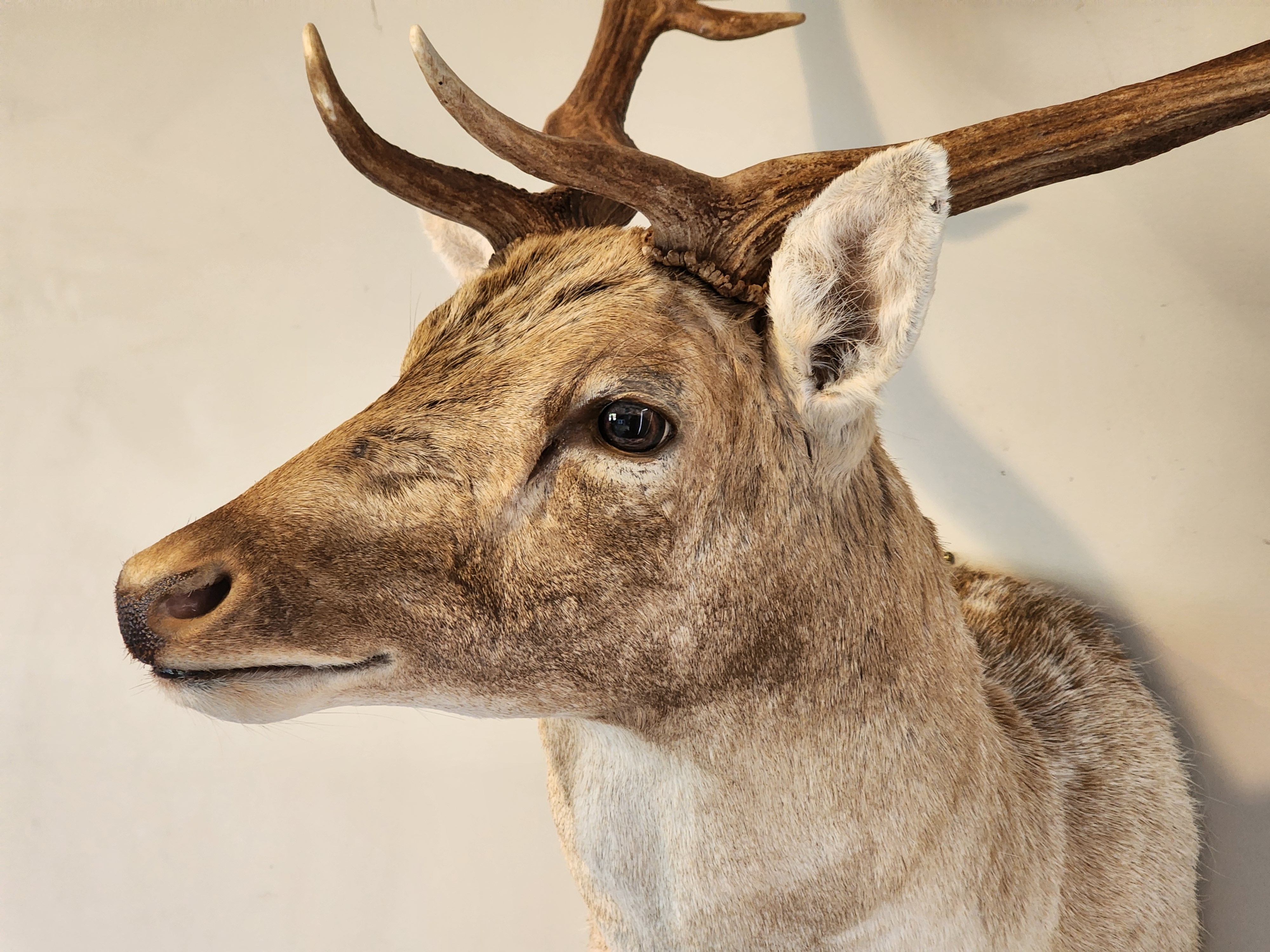 Name:  20251211_174635.jpg
Views: 303
Size:  2.53 MB