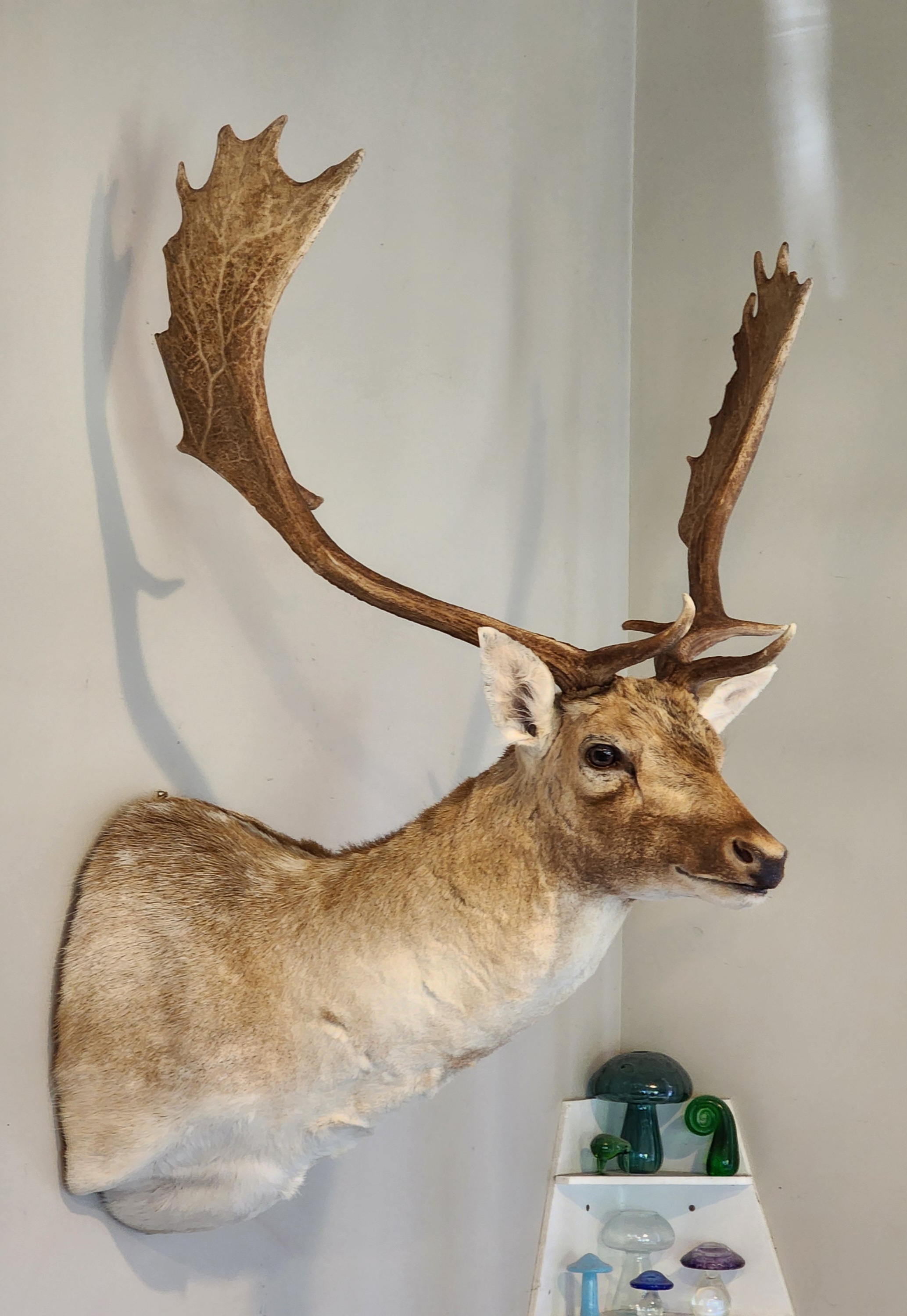 Name:  20251211_174500.jpg
Views: 297
Size:  1.06 MB