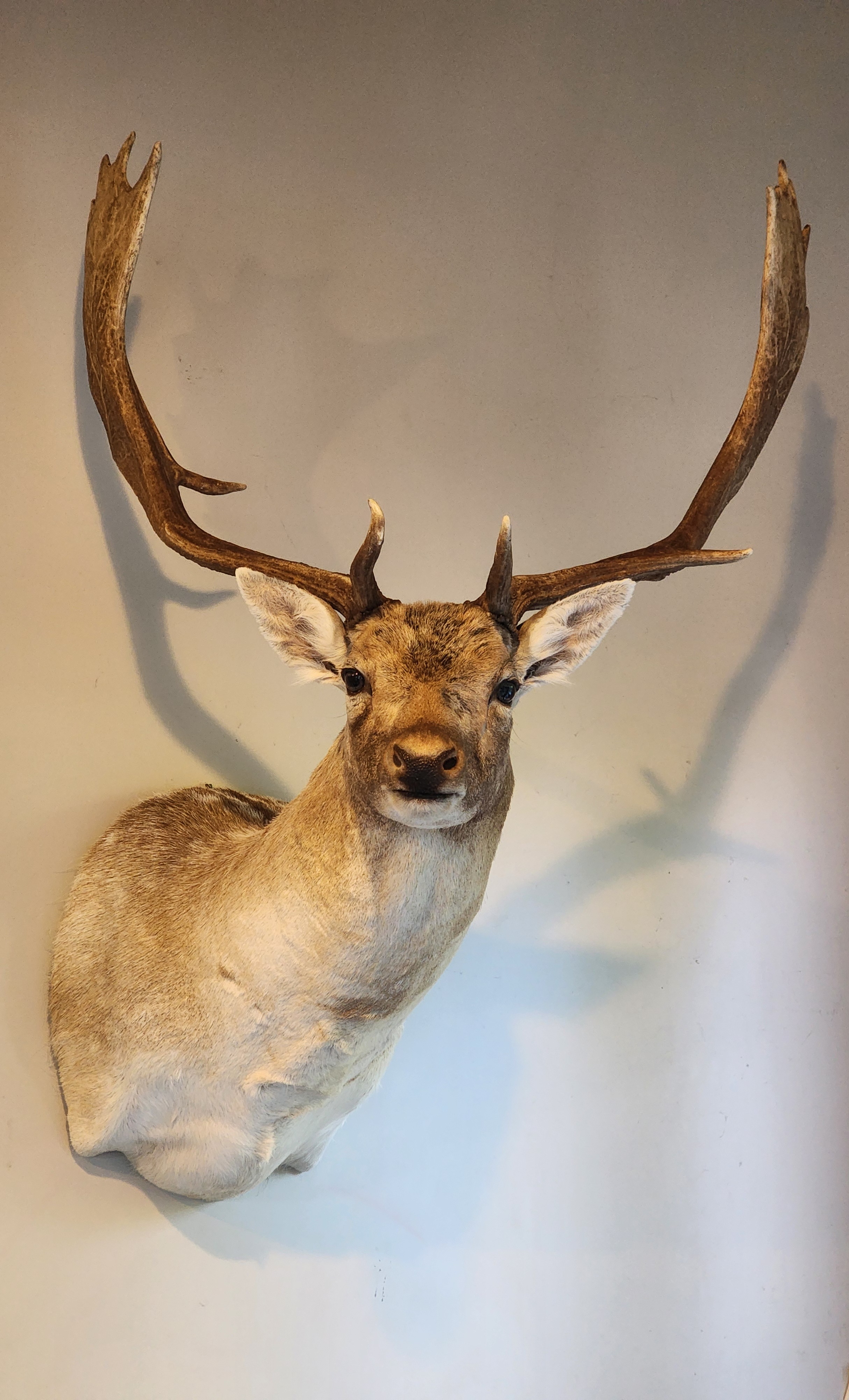 Name:  20251212_063907.jpg
Views: 224
Size:  2.01 MB