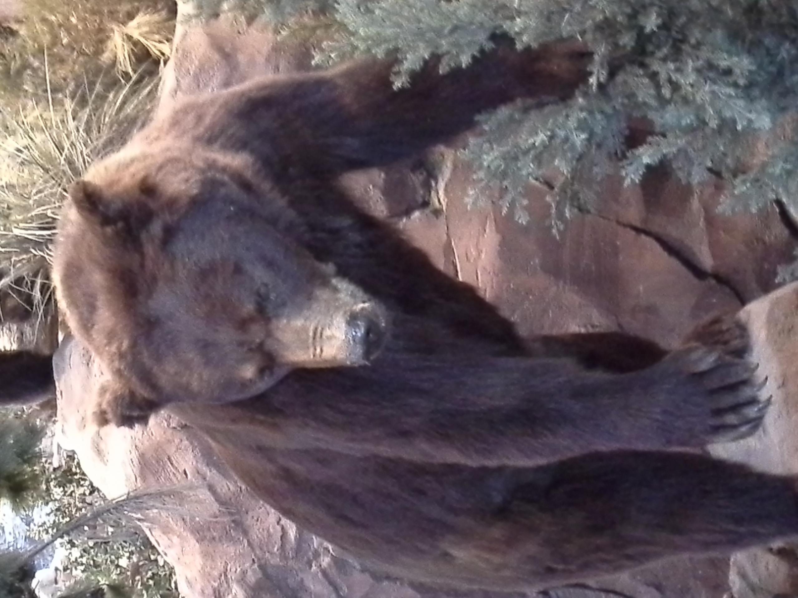 Name:  20140814_150120.jpg
Views: 644
Size:  358.2 KB