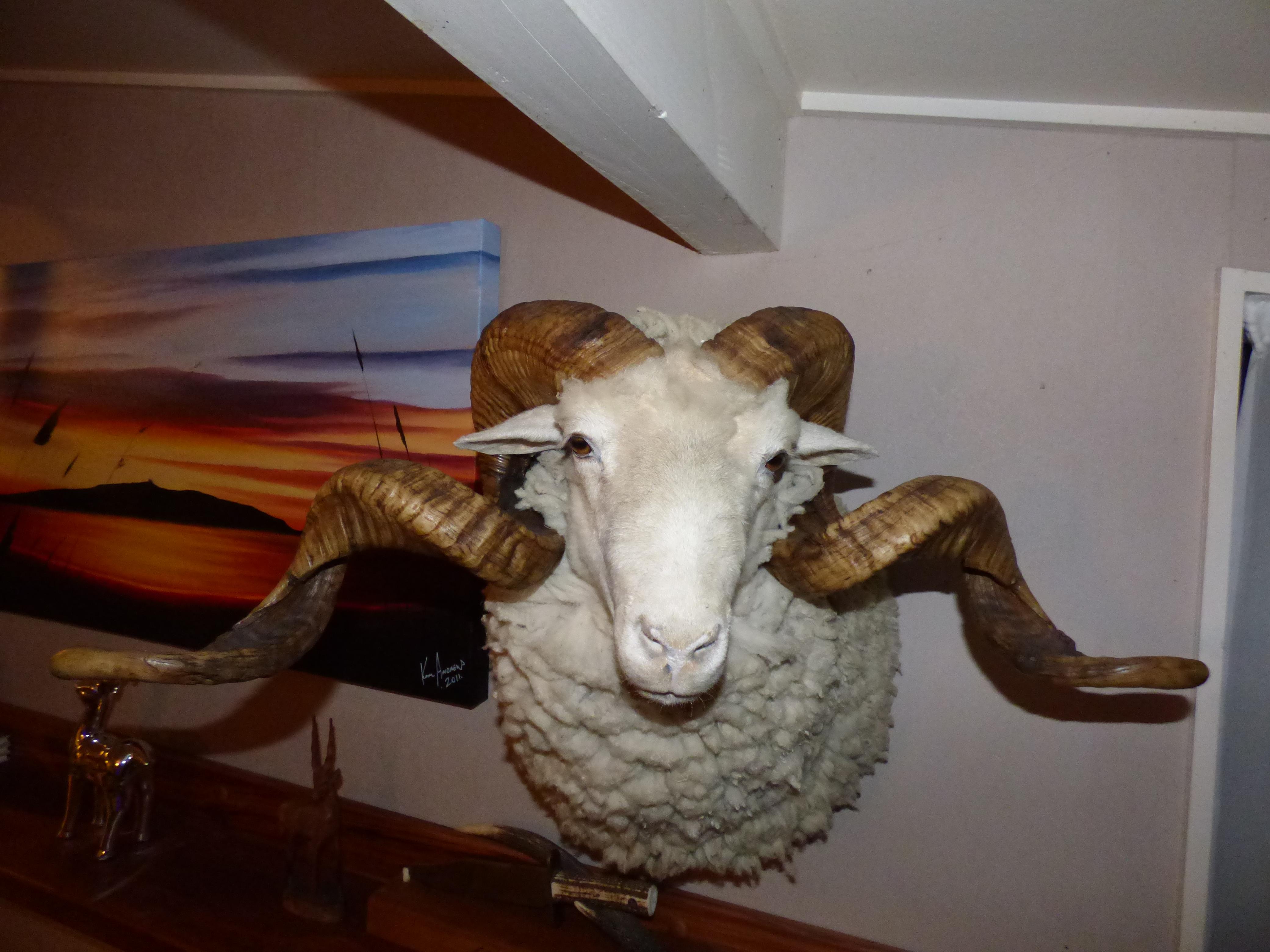 Name:  P1020439.jpg
Views: 1108
Size:  991.4 KB