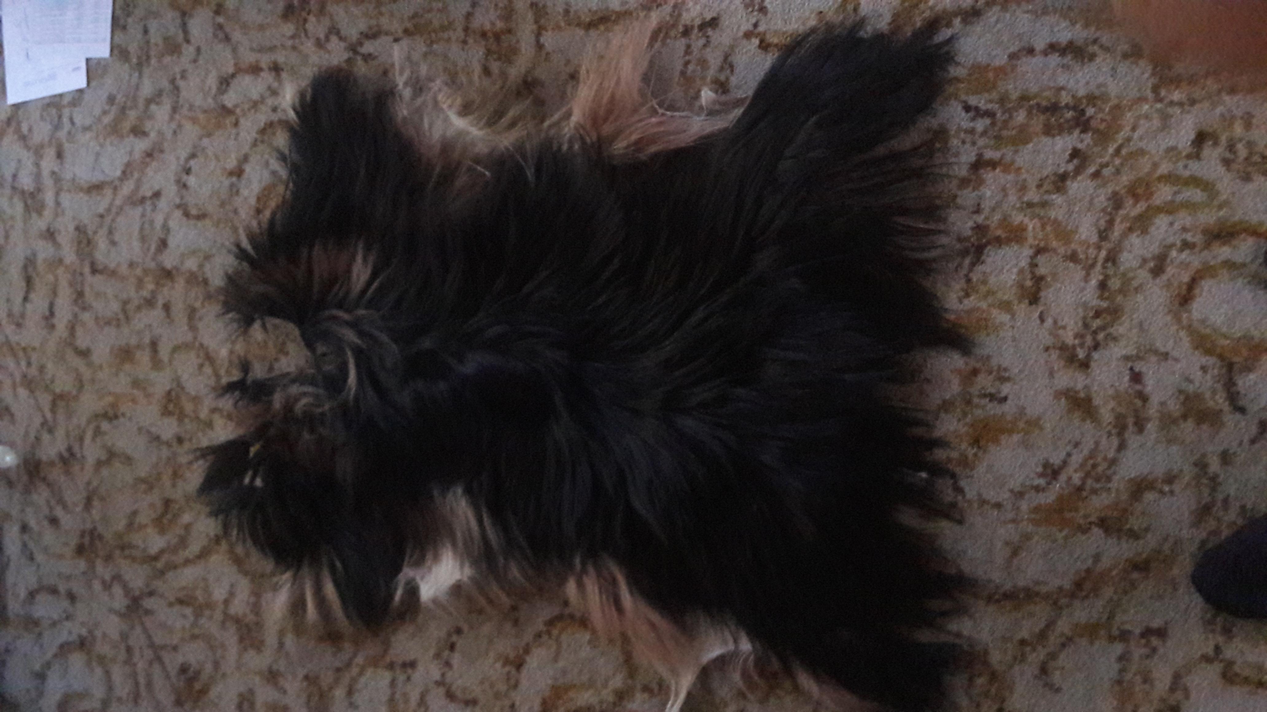 Name:  4.jpg
Views: 6451
Size:  710.5 KB