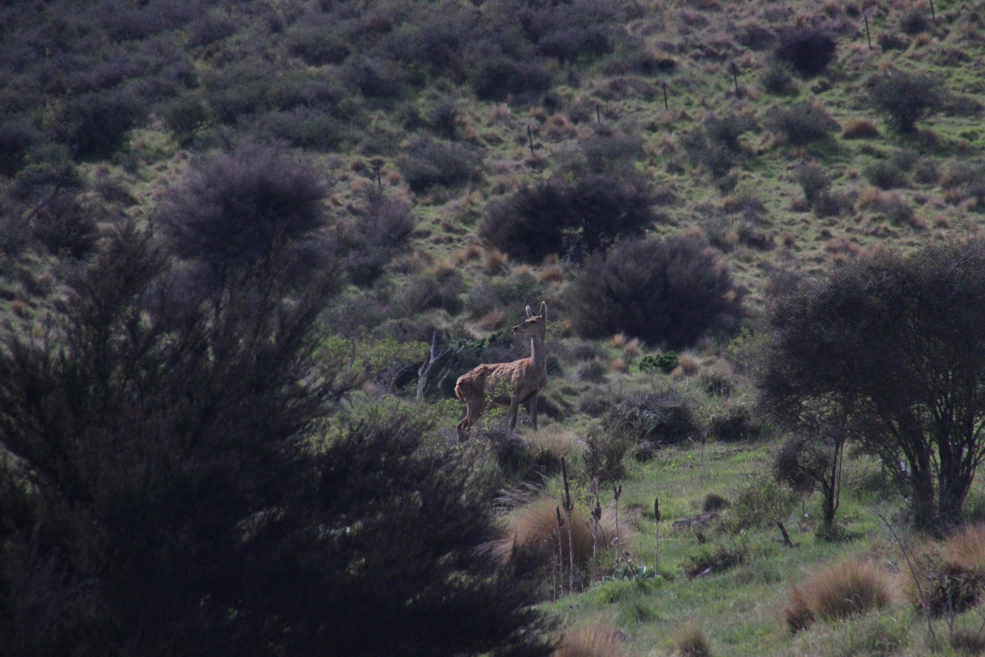 Name:  IMG_3428.jpg
Views: 1041
Size:  1.02 MB