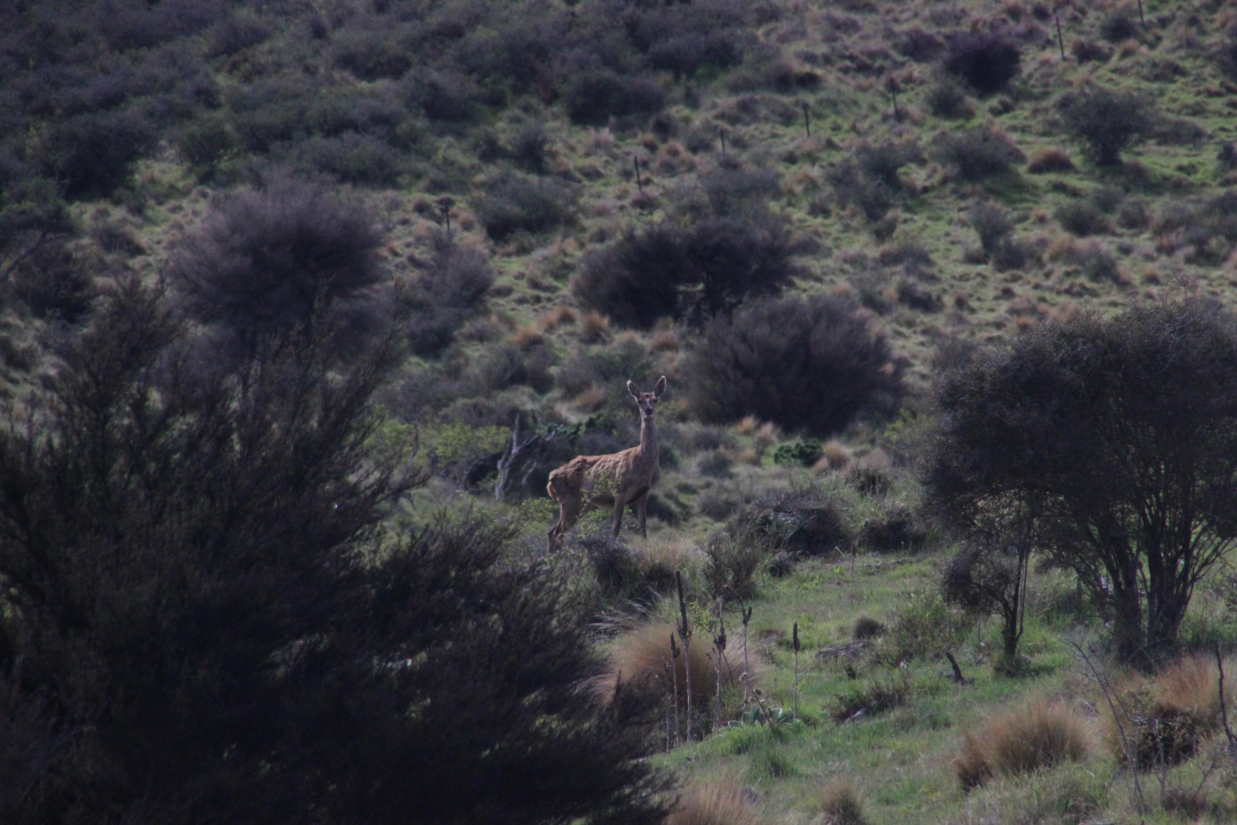 Name:  IMG_3429.jpg
Views: 883
Size:  1.02 MB