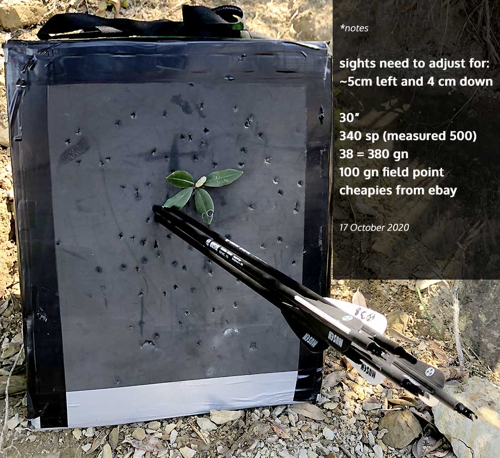 Name:  Arrow-target-groupings-17Oct20.jpg
Views: 88
Size:  136.4 KB