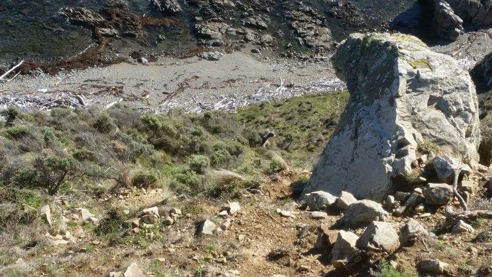 Name:  received_10206531926481635.jpeg
Views: 744
Size:  132.9 KB