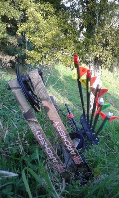 Name:  Cool bow shot.jpg
Views: 482
Size:  81.0 KB