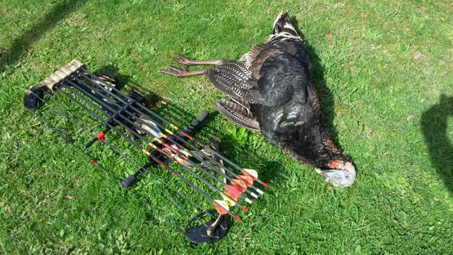Name:  Rob's 2nd turkey.jpg
Views: 562
Size:  91.7 KB