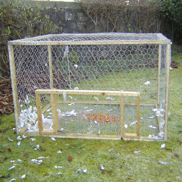 Name:  Pigeon-trap-navigator.jpg
Views: 981
Size:  537.9 KB