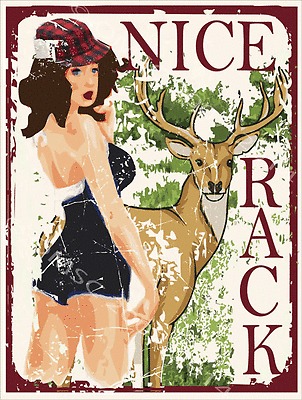 Name:  Nice Rack.jpg
Views: 414
Size:  69.7 KB