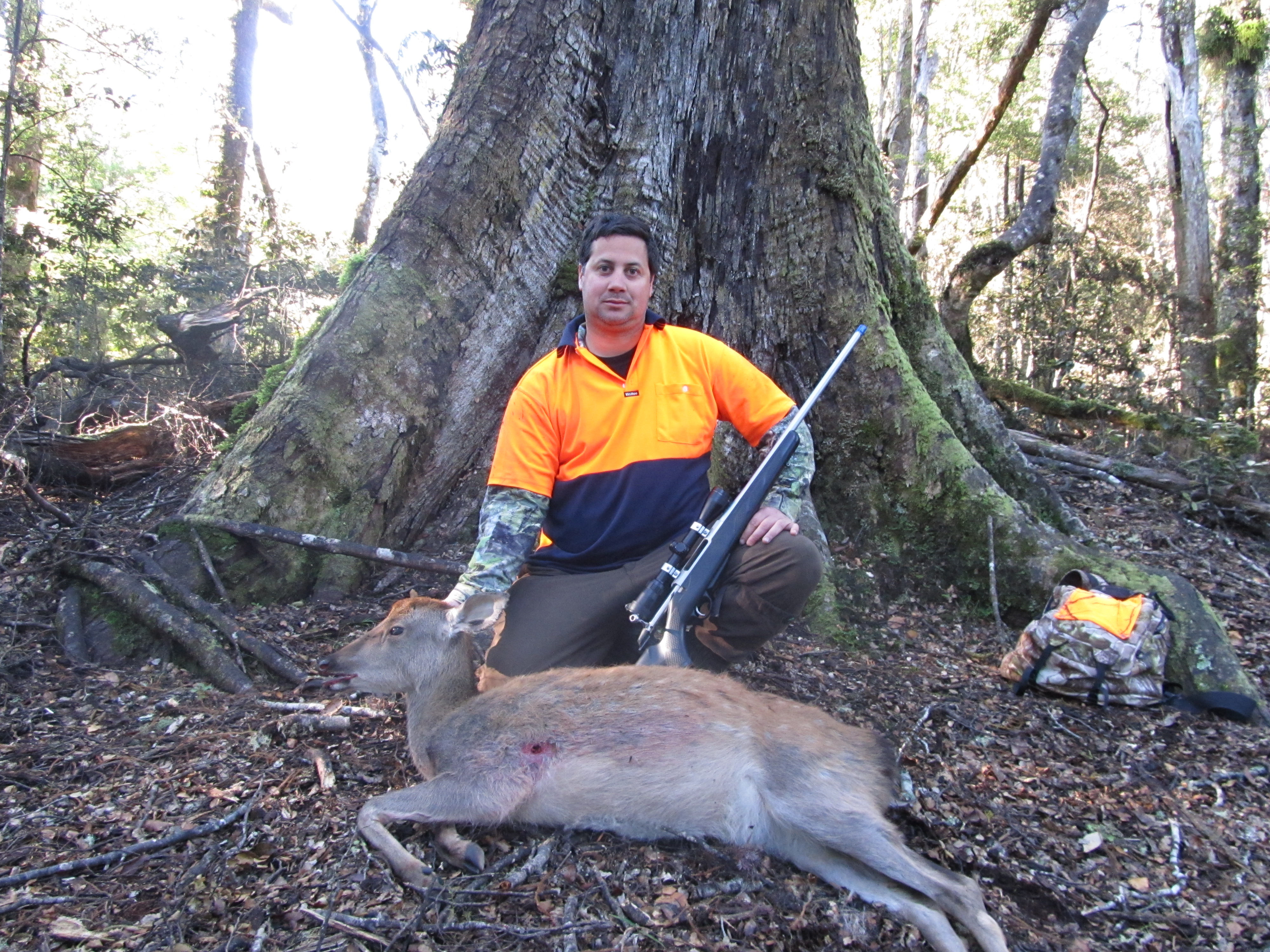 Name:  IMG_0926.jpg
Views: 1181
Size:  3.71 MB