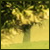 Notkiitrf's Avatar
