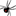 DotBot Spider
